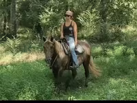 Klisna, Kentucky mountain daddle horse — foto 7