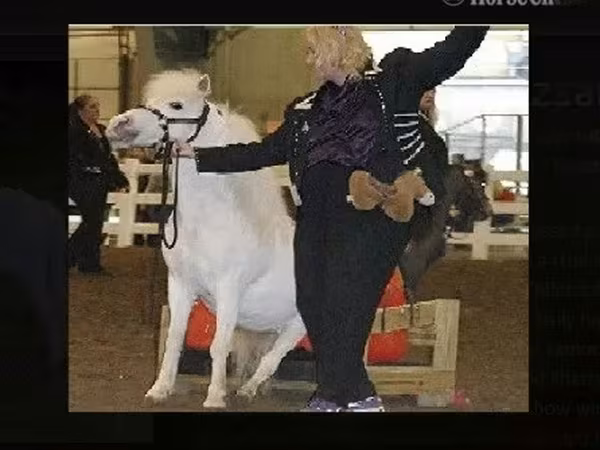فرس, Miniature horse