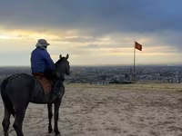 حصان, Hanoverian — الصورة 2