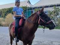 Cheval, Vladimir heavy draft — photo 8