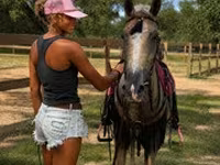 Caballo, Quarter Horse — foto 7