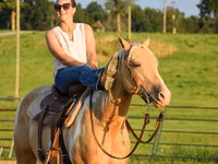 Kůň, American paint horse — foto 5