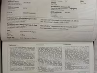 घोड़ी, Hungarian horse breed — फ़ोटो 4