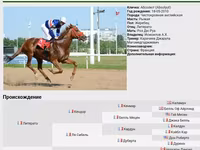 Yegua, Arabian horse — foto 6