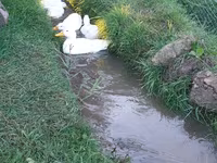 أجيديل — الصورة 8