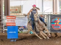 Cheval, Quarter Horse — photo 3