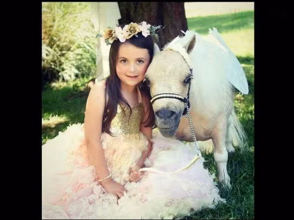 母马, Miniature horse