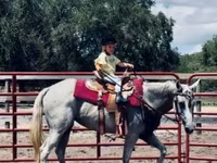 Mare, Quarter Horse — photo 8