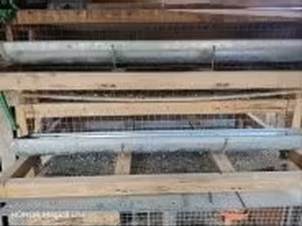 Quails