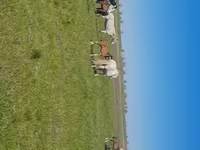 雌馬, Kazakh horse — 写真 7