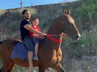 Caballo, Akhal-Teke — foto 3