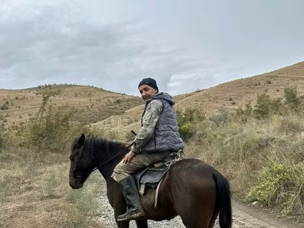 Cheval, Azerbaijan horse