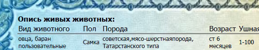 Татарстанская овца