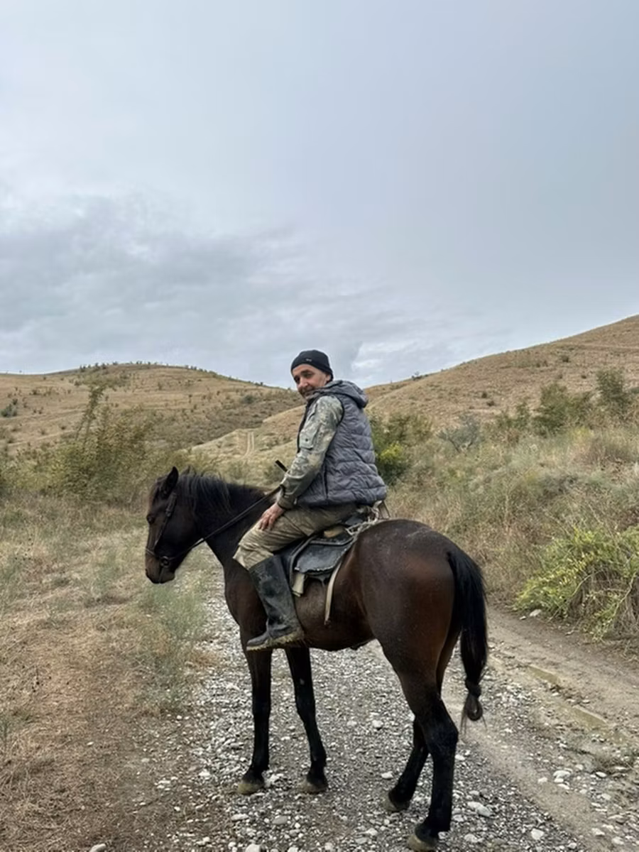 Azerbaijan horse